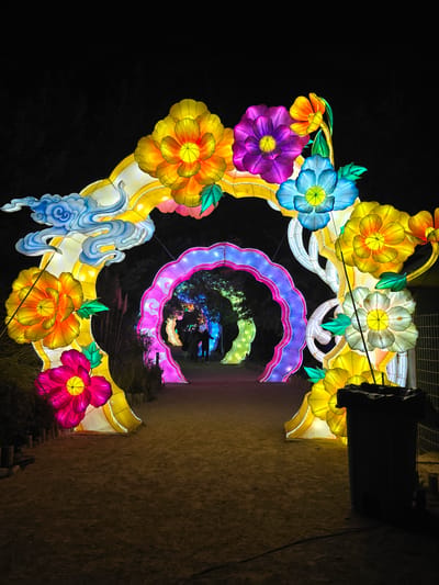 This night shot depicts an illuminated floral tunnel structure, likely part of an outdoor light display. The structure is adorned with large, brightly colored flower shapes in shades of yellow, orange, purple, blue, and pink. There are also white cloud-shaped elements. The tunnel itself is comprised of arches that diminish in size toward the center, creating a sense of depth. People are seen in the tunnel in the center. The setting appears to be dark and outdoors. The location is Puente Alto, Chile.