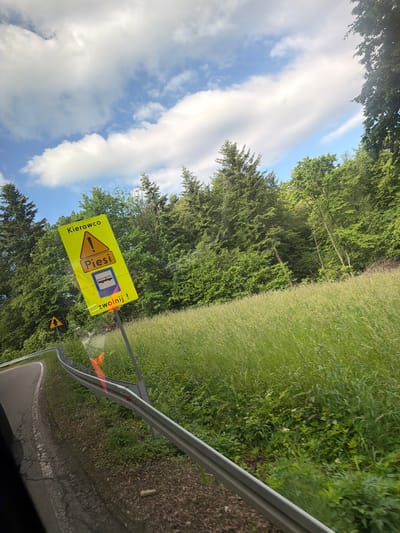 The image depicts a roadside scene in Wilkowisko, Poland, on a sunny day with a blue sky and white clouds. The foreground shows a section of a paved road with a white line marking its edge, bordered by a metal guardrail. Beyond the guardrail, there is a steep embankment covered in tall, lush green grass and vegetation.

Dominating the center of the image is a bright yellow, diamond-shaped road sign tilted to the right. The sign contains a black exclamation mark inside a yellow triangle, a symbol for a bus, and the Polish words "Kierowco" (Driver) and "Piesi" (Pedestrians), along with the instruction "zwolnij!" (slow down!). Another smaller yellow triangular sign with a black symbol is visible further down the road.

Behind the embankment, a dense forest of green trees rises steeply. The trees are a mix of deciduous and coniferous species, creating a thick, verdant backdrop. The overall impression is one of a rural or semi-rural setting, likely on a winding road surrounded by nature.
