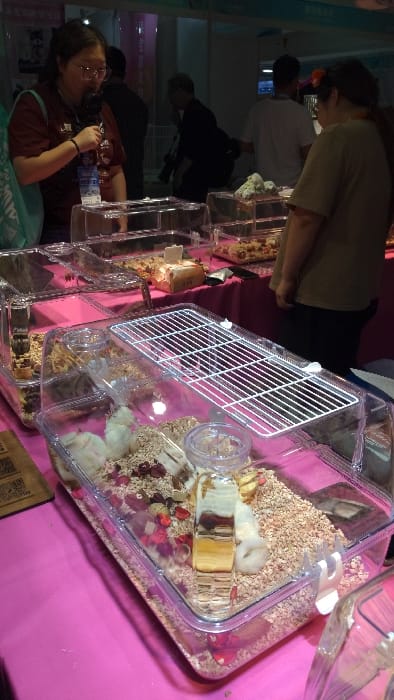 The image shows a display of transparent cages containing small animals, possibly hamsters. The cages are on a pink table with some brown paper on the bottom. The scene appears to be in a crowded area, likely a marketplace or a pet store. There are people standing around the display, but their faces are obscured or blurry. The woman on the left side of the image is wearing a brown shirt and is looking at the cages. The woman on the right is wearing a light brown shirt and is looking at the cages as well. There are other people in the background, but they are not in focus. The location, based on the coordinates 30.319, 120.357, is Hang Zhou Shi, China. The lighting in the image is dim, but enough to see the display. The focus is on the cages and the animals inside. There are also some other objects in the scene, such as a brown paper bag and a few other cages that are out of focus.