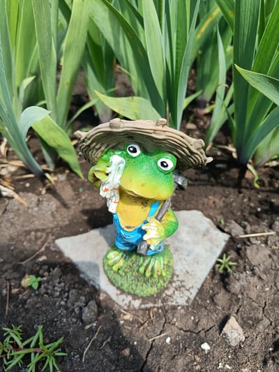 A garden figurine of a green frog wearing blue overalls and a straw hat stands on a light gray, flat stone in a garden. The frog is holding a small tool, possibly a trowel, in its right hand and has a white cloth with red stripes in its left hand, which it is wiping its face with. The frog figurine is positioned in front of tall, green leafy plants, with dark soil and small green plants visible around the stone. The image appears to be taken outdoors in daylight. No specific location within the city of Первомайское, Russia, can be determined from the visual information provided.
