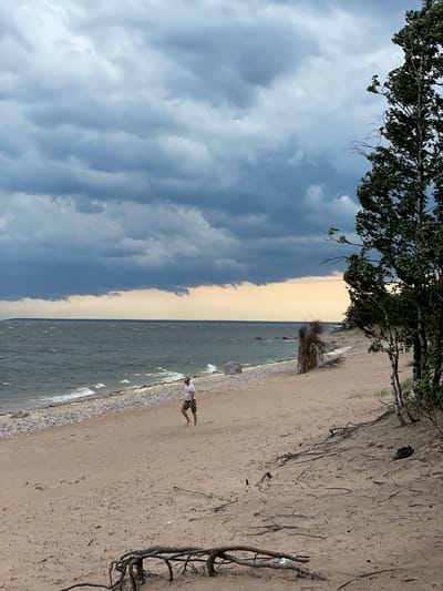 A person walks along a sandy beach towards the right side of the frame, with the sea on the left. The sky is filled with dark, dramatic clouds, and a pale orange glow is visible near the horizon. The beach is composed of sand and pebbles, with scattered driftwood. A tree with green leaves stands on the right side of the image, its branches swaying. The sea is choppy with visible waves. The scene suggests an overcast or stormy day. The location is identified as Luzhki, Russia.