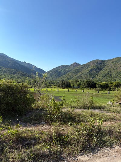 This image captures a serene landscape with rolling, verdant hills dominating the background under a clear, bright blue sky. In the foreground, a dirt path is visible, bordered by dry grass and scattered green bushes. Beyond this, a lush green field stretches out, dotted with several rectangular stone pillars, some partially submerged in a shallow body of water. A few scattered trees are present within the field, and a small, blue-roofed structure can be seen in the distance. The overall scene suggests a rural or semi-rural environment, possibly a natural park or an agricultural area. The location is identified as Cam Lam, Vietnam.