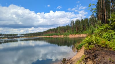 The image depicts a serene natural landscape with a body of water reflecting a cloudy blue sky and a dense forest. The shoreline features sandy banks and lush green vegetation. The forest is composed of tall, slender trees, predominantly pines, with a thick undergrowth of smaller trees and plants. The water is calm, creating a near-perfect mirror image of the sky and the trees along the bank. The overall impression is one of tranquility and untouched nature. This scene could be representative of an area near Severnaya Samarka, Russia, a region known for its extensive forests and bodies of water. There are no people or man-made structures visible in the immediate vicinity, suggesting a remote and natural setting. The lighting indicates it is daytime, likely late morning or early afternoon, with the sun contributing to the bright reflection on the water.