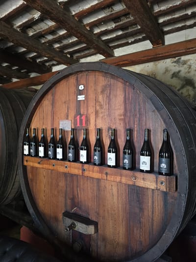 In a dimly lit cellar, likely in San Savino, Italy, a large, aging wooden barrel dominates the frame. The barrel's surface is weathered, displaying the texture of aged wood and metal bands. Mounted on the barrel's face is a wooden shelf, upon which ten dark glass bottles of wine are neatly arranged. Each bottle bears a label with text and an illustration, suggesting a specific vintage or varietal. Above the shelf, the numeral "11" is painted in a bold red, possibly indicating the barrel's number or contents. A small, white tag with black lettering is affixed above the numeral. The cellar ceiling is visible, featuring exposed wooden beams and a rough-textured white surface, indicative of a traditional wine-making environment. The overall impression is one of rustic charm and the rich heritage of Italian wine production.