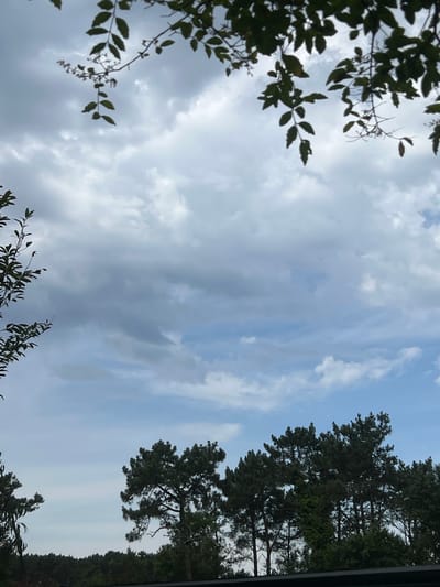 The image shows a view of the sky with clouds, framed by trees and branches from above and to the sides. In the foreground, dark green foliage from trees hangs down from the top and sides. In the background, a dense line of trees forms the horizon, with a few taller evergreen trees in the middle ground. The sky is overcast with large, grey clouds, interspersed with patches of lighter blue sky. The scene appears to be taken outdoors, possibly in a park or natural area, with a slightly muted color palette due to the cloudy conditions.