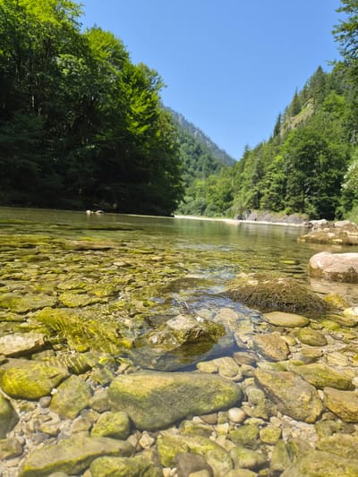 The image depicts a crystal-clear river flowing through a lush green forest in Landl, Austria. The foreground is dominated by the riverbed, visible through the shallow water, which is covered with numerous smooth, light-colored stones, many of which are covered in a green algae or moss. The water surface exhibits ripples and reflections of sunlight. In the mid-ground, the river widens slightly and continues towards a sandy bank on the right side. The background features steep, tree-covered mountains flanking the river, with dense foliage in shades of green under a bright blue sky. The scene is serene and natural, suggesting a remote, unpopulated natural landscape. There are no people or man-made structures visible in the image.