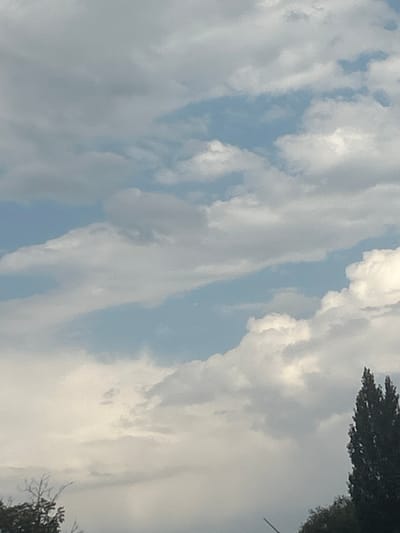 A low-angle, outdoor, full shot captures a partly cloudy sky with scattered sunlight. The clouds are a mix of white and gray, with patches of blue sky visible between them. In the lower right corner, the top of a tall, dark green coniferous tree is visible, with a darker green canopy below. To the left of the tree, a few bare branches of a deciduous tree are visible against the sky. The scene is devoid of any human presence or activity. The location is Dmitrievka, Kyrgyzstan.