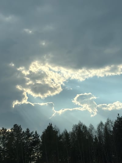 The image depicts a cloudy sky with the edge of a forest visible on the right side. Sunlight breaks through the clouds, creating a bright glow around their edges. The sky is a mix of dark gray and brighter blue patches. The forest appears dense with dark green foliage. This image was taken in Novoromashkovo, Russia.