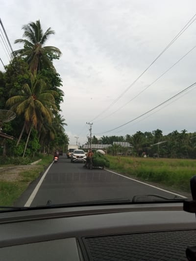 The image shows a road scene from inside a vehicle, likely a car, looking through the windshield. The road is asphalt with a white line marking the lane. On the left side of the road, there are numerous tall palm trees and dense green foliage. Several power lines stretch across the sky.

In the road ahead, there is a traffic jam. A white SUV is in the middle of the road, and a white truck is behind it. To the right of the SUV, a man on a motorcycle is transporting a large amount of green leafy material. Another person is riding a motorcycle to the left of the SUV, further back.

In the background, there are houses with tiled roofs and more vegetation. The sky is overcast with a light gray color. The foreground shows the dashboard of the vehicle from which the photo was taken.

This scene is consistent with a road in Luengbaro, Indonesia, where such vegetation, road conditions, and traffic are common.