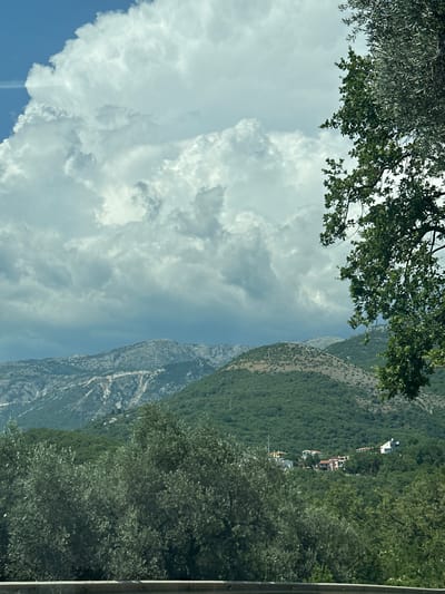 This is a vertical, medium shot of a mountainous landscape with clouds and trees in Podličak, Montenegro. The scene is dominated by a large expanse of sky filled with fluffy white and grey clouds on the left. In the center and to the right, a steep, green mountain slopes downwards, dotted with several small white houses. The mountain is covered in lush green foliage, and patches of bare rock are visible. In the foreground and upper left, dark green branches and leaves of trees hang over the scene, partially obscuring the sky and mountain. The time of day appears to be daytime, likely midday or afternoon, given the brightness of the clouds and the sunlight illuminating the scene. The weather seems partly cloudy. The overall impression is one of natural beauty and rural tranquility. No people or text are visible in the image.
