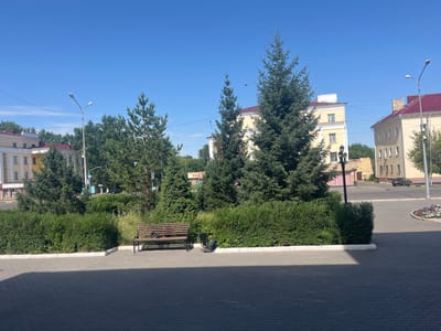 This image depicts a street scene in the city of Temirtau, Kazakhstan, on a clear, sunny day. In the foreground, a paved area with dark gray rectangular bricks leads to a raised planter box filled with dense green bushes. To the left, a wooden park bench with a dark object, possibly a bag, resting on it is situated in front of the bushes. Adjacent to the bench and slightly further back is a black trash bin with another dark object, appearing to be a pair of shoes, placed beside it.

Behind the bushes, several evergreen trees, including mature fir trees, are prominent. Beyond the trees, several buildings are visible. To the left, a light-colored building with a red roof and arched ground-floor entrances is partially obscured by trees. In the center and to the right, a tall, pale yellow building with multiple windows and a red roof stands out. To its right, another similar pale yellow building with a red roof is visible, featuring a street lamp with two lights in front of it.

A paved road curves through the scene, with a dark-colored car parked further down to the right. A flower bed with colorful flowers is visible on the right side of the road. The sky is a bright, clear blue, with a few wisps of white clouds. Power lines are visible strung between poles in the background. The overall impression is a well-maintained urban public space with a mix of greenery and architectural elements under a bright sky.