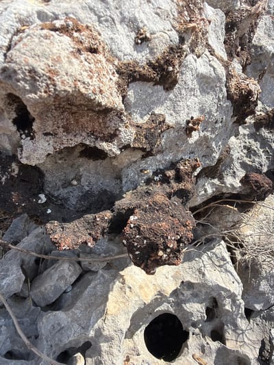 This is a close-up, eye-level shot of a rocky, outdoor scene. The subjects are the rocks themselves, which are rough and varied in texture and color. Some rocks are a light gray, appearing porous and weathered, while others are dark brown and reddish, with a more solidified, possibly volcanic, texture. There are also patches of what appears to be white, crystalline deposits on some of the rocks. The rocks are unevenly stacked and form an irregular surface, with some crevices and holes visible. Dry, thin branches are scattered across the rocks, suggesting a natural, possibly arid, environment. The lighting indicates it is daytime, with the sun casting shadows that highlight the textures and contours of the rocks. The scene appears to be a natural landscape, given the type of rocks and vegetation. There is no visible text. The location is identified as Misgav Regional Council, Israel. The overall impression is one of a harsh, natural environment, possibly a rocky outcrop or a mountainous terrain.