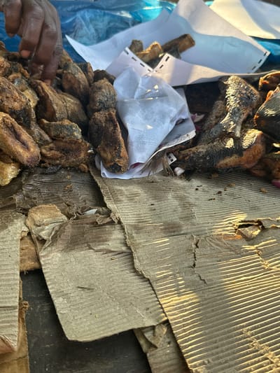 A close-up, eye-level shot captures a pile of fried fish at an outdoor market, likely Jawu, Nigeria. A person's dark-skinned hand, with visible knuckles and fingernails, reaches into the fish pile, suggesting a transaction or arrangement of the goods. The fish, some whole and some in pieces, are coated in a dark, crisp batter and appear slightly charred in places, indicating they are fried. White paper is tucked amongst the fish, possibly used for wrapping or as a protective layer. The fish are laid out on what appears to be corrugated cardboard, which is somewhat weathered and torn in places, suggesting a rustic market setting. The lighting suggests it is either early morning or late afternoon, with long shadows cast by the sun. The background is out of focus, showing a blurred expanse of blue, likely a tarp or canopy, also common in open-air markets. The overall impression is a bustling, authentic marketplace scene focused on the sale of fresh fried fish.
