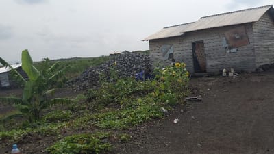 A small, weathered wooden shack sits beside a dirt road. A faded sign hangs askew on its wall. A pile of rocks looms behind the shack, adjacent to a small garden with scattered sunflowers and other plants. Two figures are visible in the background near the rocks. Banana trees are on the left, and a water bottle is on the ground in the lower left corner of the image. The sky is overcast.