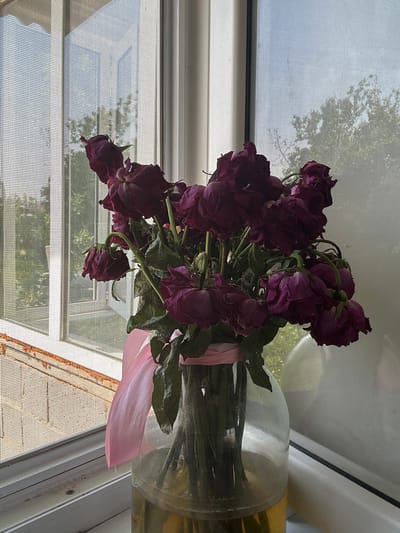The image shows a bouquet of dried, deep purple roses in a clear glass vase, placed on a windowsill. The roses are wilted and have lost their vibrant color, with some petals appearing brittle. A pale pink ribbon is tied around the stems of the flowers.
The vase sits on a white windowsill, with a window behind it. The window is covered by a screen, through which an outdoor scene is visible. The screen casts a grid-like shadow on the window and obscures the details of the background, but suggests the presence of trees and the sky. The lighting indicates it is daytime, likely morning or afternoon, with natural light filtering through the window. The overall mood is somber and reflective, possibly evoking feelings of nostalgia or the passage of time.
The scene is set indoors, near a window that looks out onto an outdoor environment. Based on the provided location context, this scene is likely taking place in Жыгач-Коргон, Kyrgyzstan. There is no visible text in the image.