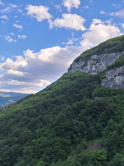 The image shows a view of a rocky cliff covered in green trees on the right side, contrasted with a partly cloudy blue sky on the left. It is implied the image has been taken in Zasele, Bulgaria. The cliff face shows layers of sedimentary rock, with vegetation growing along its surface. The forest cover is dense. The sky is bright blue with scattered cumulus clouds. The image orientation is vertical.