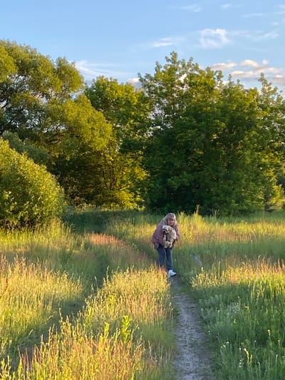 In a grassy field with trees in the background, a woman walks along a dirt path holding a small dog. The woman is wearing jeans and a light-colored jacket. The dog appears to be light brown and fluffy. The sun is low in the sky, casting long shadows and illuminating the grass with a golden light. The sky is blue with some scattered white clouds. The location is in the city of Vyshkov, Russia.