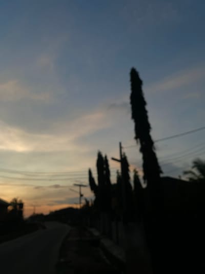 A heavily blurred outdoor photograph, confirmed to be taken in Enwan, Nigeria, depicts a landscape at dusk or sunset. The upper sky is a muted blue, transitioning to a gradient of light blue, gray, and warm orange-yellow hues near the horizon. Diffuse cloud formations are visible throughout the sky. On the right side of the frame, multiple tall, slender trees stand as prominent, dark silhouettes, extending vertically against the sky. Interspersed among these are utility poles with horizontal crossbars and wires, also appearing as dark, indistinct shapes. A dark, winding road or path occupies the lower-left portion of the image, receding into the background. The foreground and shaded areas on the right are largely undifferentiated dark masses, suggesting obscured vegetation or structures. No individuals, specific objects, actions, or interactions are clearly discernible due to the significant blur and low light conditions.