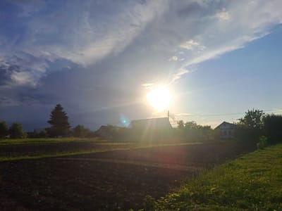 The image displays an outdoor landscape scene, appearing to be correctly oriented when rotated 90 degrees counter-clockwise. The top half is dominated by a bright blue sky with scattered white and grey clouds. A brilliant, almost overexposed sun shines prominently in the upper right quadrant of the sky, casting a strong lens flare.
The bottom half of the image features a calm body of water, likely a lake or pond, acting as a near-perfect mirror. It reflects the sky, the bright sun, and the distant land with remarkable clarity. Along the far bank, visible in the reflection, are several elements: verdant green grass, darker patches of earth, and various trees, including a distinctive tall, dark evergreen tree (possibly a pine or spruce). Several distant houses are also reflected, including a prominent white house with dark windows and rooflines. Faint power lines are visible horizontally across the reflected portion of the scene.
There are no people or specific activities taking place, presenting a serene, static landscape. The strong sunlight and the golden hue of some reflections suggest either late afternoon or early morning. The weather is clear and sunny with some clouds. The overall impression is one of tranquility and natural beauty, heavily influenced by the striking reflections on the water. No visible text is present in the image. The location is Polianki, Russia.