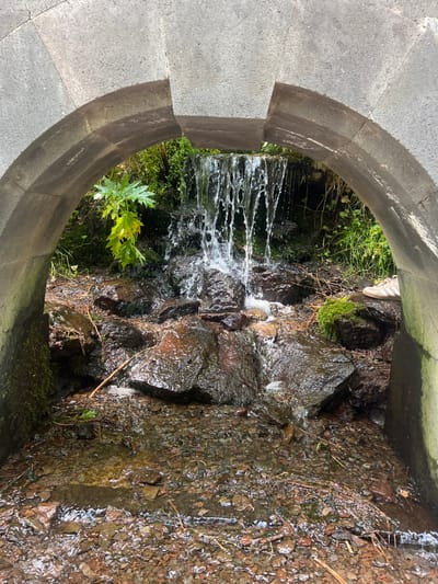 This image captures a natural spring or small waterfall framed by a stone archway, located in Jermuk, Armenia, characteristic of the town's mineral water sources. The viewpoint is from within or immediately in front of a grey stone arch, constructed from large, roughly cut blocks, which frames the scene beyond.
Through the arch, water descends in multiple cascades from an elevated, unseen source, forming a small waterfall. This water splashes over and flows around an arrangement of dark, wet, irregular rocks that comprise the immediate base of the fall. Below these larger rocks, the water forms a shallow, clear stream that flows across the foreground, which is composed of smaller, varied-colored stones and gravel.
Lush green vegetation, including a large-leafed plant with prominent green and yellowing leaves, is visible behind and to the left of the waterfall, indicating a dense, damp natural environment. Moss patches are evident on some of the rocks. On the right side of the frame, resting on a moss-covered rock near the flowing water, a single light-colored athletic shoe is present, suggesting recent human activity at the location. The overall environment is wet, natural, and appears to be a maintained access point to a spring.