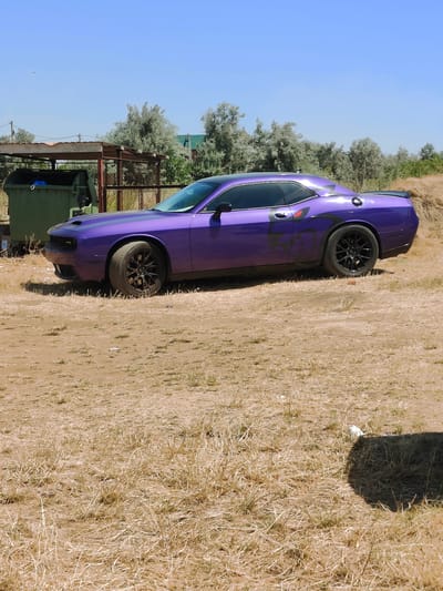 A purple Dodge Challenger is parked on a dry, grassy field under a clear blue sky. The car has black racing stripes on the hood and a stylized decal on the side. In the background, there are trees, a green dumpster, and a small structure with a metal roof. The ground is covered in dry grass and dirt, with a few scattered pieces of litter. To the right of the car, a shadow suggests the presence of a large object, possibly a hay bale. The scene appears to be in a rural or semi-rural area, possibly on the outskirts of Sanzhiika, Ukraine.