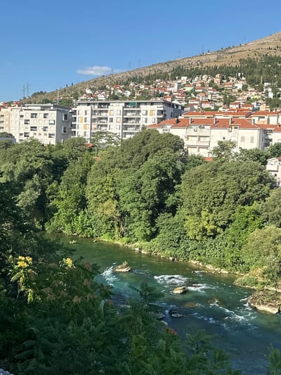 This image captures a view of the Neretva River in Mostar, Bosnia and Herzegovina, with a backdrop of buildings and a hillside. In the foreground, the turquoise water of the Neretva River flows, with visible rocks and small rapids. Dense green foliage lines the riverbanks and encroaches on the water's edge. Behind the trees, modern residential buildings with white facades and red tile roofs are visible. Further up the hillside, a dense cluster of houses, also with red roofs, cascades down the slope, interspersed with trees. The sky is clear and blue, with a few scattered clouds. The scene suggests a sunny day in a city where nature and urban development coexist.