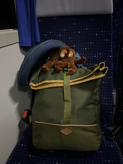 A dark green backpack is positioned on a seat that appears to be within a mode of public transportation, possibly a train or bus, given the patterned blue upholstery of the seats. The backpack is adorned with a yellow trim around its opening. Resting on top of the backpack are two small, fuzzy brown monkey stuffed animals, huddled together. One monkey is wearing a denim fabric over its body, which is part of a folded pair of jeans. A blue curtain is visible in the background, partially obscuring a window. The scene is lit by artificial light, casting a shadow on the wall to the left. The specific location in the city of La Llagosta, Spain, cannot be determined from the visual information provided.