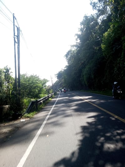 This image depicts a section of a paved road in the city of Ban Phonhxavanh, Laos, under bright daylight conditions. The road, composed of asphalt, curves gently to the left from the foreground towards the background. A solid white line delineates the left edge of the road, and a solid yellow line marks the right edge of the main travel lane. Tree shadows are prominently cast across the road surface from the right.

On the immediate right side of the road, a dense, verdant hillside slopes upward, covered in thick foliage and tall trees. On the left side of the road, two dark utility poles with multiple overhead power lines are visible, extending upwards and out of frame. A dark, possibly metal, guardrail runs along the left side of the road for a significant stretch.

Several motorbikes are present on the road. In the mid-ground, a cluster of approximately three to five motorbikes is visible on the main road surface, appearing to be either stopped or moving slowly. On the far right edge of the road, closer to the foreground, a dark-colored motorbike is partially visible with a rider wearing a white helmet. The sky in the upper left portion of the image is overexposed, indicating strong overhead sunlight.