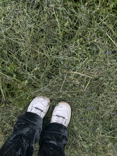 An overhead shot reveals a patch of mown grass interspersed with small blue flowers, indicative of a field or natural area. In the lower right corner, two feet are visible, shod in white sneakers labeled "550." The person is wearing dark, possibly velvet, pants. This image was taken in Vysokinichi, Russia.