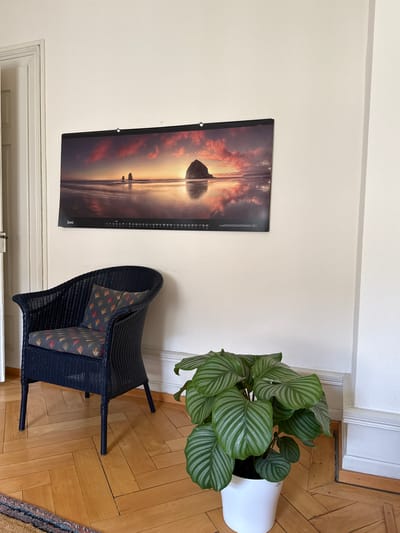 The image shows a cozy interior scene featuring a dark blue woven chair with patterned cushions, a potted plant with striking green and white striped leaves in a white pot, and a calendar hanging on a cream-colored wall. The calendar displays a dramatic sunset over a body of water, with a large rock formation in the foreground and two silhouetted figures standing on the shore. The scene is illuminated by warm, natural light, suggesting it might be late afternoon or early evening. The wooden floor has a herringbone pattern. The overall mood is tranquil and domestic.

Visible text includes "JUNI" (June in German) on the calendar, indicating the month displayed. There are also small numbers running down the side of the calendar, likely representing dates. The setting appears to be a residential interior, possibly in Zurich, Switzerland, given the context provided. There is no specific activity or event taking place; it's a still image of a room's decor.