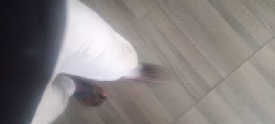 The image shows a person's lower body and feet against a gray tiled floor. The person is wearing white pants and dark-colored sandals. The background is a gray tiled floor with a diagonal pattern. There is no specific information in the image to identify the exact location as Kabala, Nigeria, or any other place.