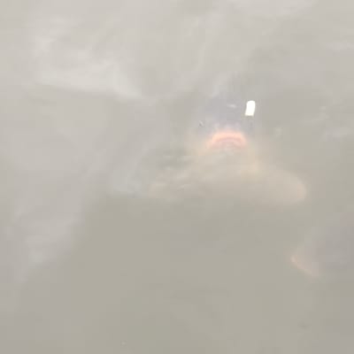 A fish is swimming in murky water. The fish has a dark head and pink lips, with a small white object near its eye. The location is Капцёўскі сельскі Савет, Belarus.