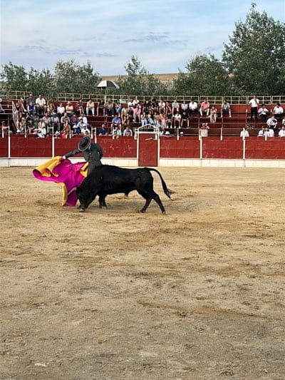 The image shows a bullfight taking place in an arena. A matador in a dark suit and hat is facing a black bull, holding a brightly colored cape (pink and yellow). The bull is close to the matador, appearing to charge or react to the cape. The arena is surrounded by red barriers. Spectators are seated in tiered stands behind the barriers. The ground of the arena is sandy. In the background, trees and buildings are visible. The image appears to be taken outdoors during daylight. The bullfight is probably located in the city of San José del Valle, Spain, as stated in the instructions.
