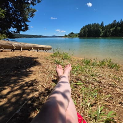 The image depicts a close-up view of a person's legs and feet resting on a sandy shore beside a body of water, likely a lake or reservoir. The person is lying down, with their legs crossed and bare feet visible. The foreground is dominated by the sandy ground, interspersed with dry grasses and some green vegetation. Shadows from a nearby tree dapple the ground. In the background, a large fallen log rests on the shore. Beyond the log, a calm body of blue-green water stretches out, with a tree-lined shore visible in the distance. The sky is a clear blue with a few scattered white clouds. The overall scene suggests a peaceful outdoor setting, possibly a recreational area. The location is identified as Cherry Grove, United States.