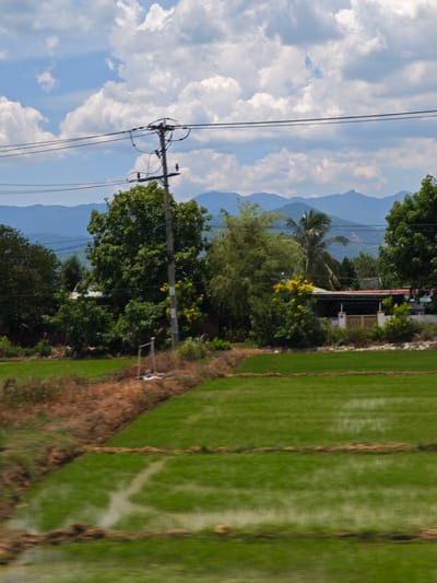 This is a photograph of a rural landscape in Dien Tho, Vietnam. The scene depicts terraced rice paddies in various stages of cultivation, with some fields reflecting the sky and others appearing a vibrant green. The foreground is dominated by these paddies, separated by low earthen berms. Beyond the fields, a line of trees and vegetation can be seen, including a prominent palm tree and trees with bright yellow flowers. A building with a red roof and a light-colored facade is nestled amongst the trees. In the background, a series of blue-tinged mountains form a layered silhouette against a partly cloudy sky. Overhead, power lines stretch across the frame, supported by a utility pole. The overall impression is one of a peaceful, agrarian setting under a bright, likely daytime sky, given the illumination and cloud cover. There is no visible text in the image.