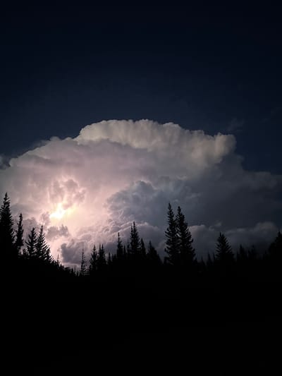 An image captures a dramatic nighttime scene in Eldora, United States, featuring a powerful thunderstorm. A massive cumulonimbus cloud dominates the sky, illuminated from within by a bright flash of lightning that casts an eerie pinkish-white glow on its turbulent structure. Below the storm, a dense silhouette of evergreen trees forms a dark, jagged horizon. The overall impression is one of raw, untamed natural power against the backdrop of a dark, starless night sky.