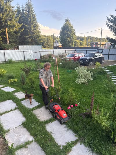 A man with curly brown hair, wearing glasses, a plaid shirt, and black pants, is mowing a lawn in a backyard. He is pushing a red and black lawnmower. A small brown dog with a white collar is standing on the grass next to him. The backyard is green and lush, with a stone pathway and several bushes and flowers, including pink roses. In the background, there is a fence, two cars (a red station wagon and a black SUV with its trunk open), and a few houses. Tall evergreen trees line the perimeter of the yard. The sky is partly cloudy with a hint of sunset. The image appears to be taken in the city of Lyady, Russia.