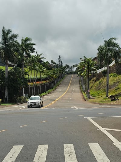 The image shows a white car driving up a steep, uphill road lined with palm trees. The road has double yellow lines and white dashed lines indicating lanes. There are white pedestrian crosswalk markings on the road in the foreground. On the right side of the road, there is a steep, grassy embankment with a stone wall at the top, partially covered by a white railing. A building is visible on the right side of the road near the top of the hill. The sky is overcast with gray clouds. The scene appears to be in a tropical or subtropical location, likely a residential area or resort given the landscaping.