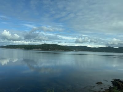 This is a wide-angle, eye-level, landscape photograph taken on a cloudy day. The scene depicts a calm, expansive body of water, likely a fjord, with a tree-covered coastline stretching across the horizon. The water reflects the sky and clouds, creating a serene and somewhat muted visual effect. The sky is filled with a mix of white and gray clouds, with patches of blue sky visible, suggesting the weather is overcast but not entirely gloomy.
The coastline is densely forested with dark green trees, and the rolling hills of the land create a textured backdrop. The water's surface is mostly smooth, with subtle ripples indicating a lack of strong wind. In the foreground, the edge of the water meets rocky terrain, with several dark, wet rocks and some sparse vegetation visible at the lower right.
The time of day appears to be daytime, likely afternoon, given the lighting and cloud cover. The overall mood is tranquil and natural, emphasizing the beauty of the Norwegian landscape. There is no visible text in the image, and no people or man-made objects are prominently featured, drawing attention solely to the natural elements of the scene. The location context is Skatval, Norway.