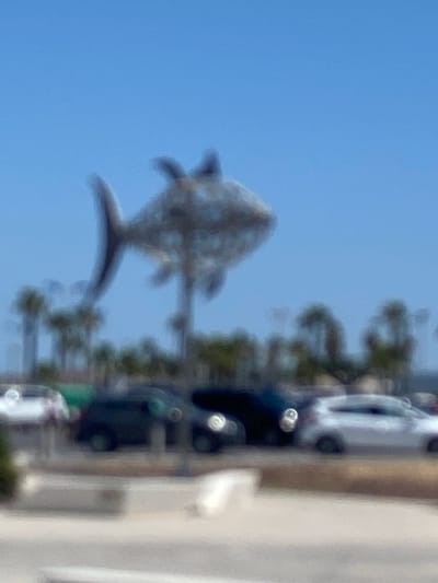 The image shows a large, metallic fish sculpture suspended in the air against a clear blue sky. The sculpture is made of a mesh-like material and appears to be abstract in design. Below the sculpture, a line of palm trees and other vegetation are visible, suggesting a warm climate. In the foreground, a row of cars is parked, indicating a public area such as a parking lot. The overall impression is of a public art installation in an outdoor setting. While the specific location in Conil de la Frontera, Spain is not discernable from the image itself, the presence of palm trees and the architectural style of the sculpture could be consistent with coastal Spanish locations.