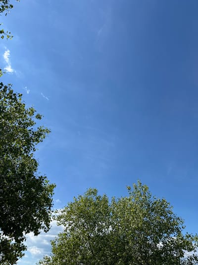 The image is a low-angle shot looking up at a bright blue sky with scattered wispy clouds. Lush green tree foliage frames the bottom and left edges of the frame. In the foreground, the branches and leaves of two large trees are visible, with the tree on the right dominating the lower right quadrant and the tree on the left occupying the lower left. The sky is clear and vast, with a few thin, feathery clouds. This scene was captured in Demydiv, Ukraine. There are no people or discernible actions taking place. The environment is natural, with a focus on the sky and trees.