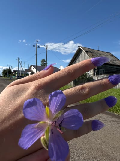 The image, taken in Mursalimkino, Russia, features a close-up of a person's hand with purple nail polish and what appear to be purple flower petals as nail extensions. A delicate purple flower is held close to the hand, its petals unfurling. In the background, a rustic wooden building with a weathered roof is visible against a bright blue sky dotted with fluffy white clouds. Power lines stretch across the sky, suggesting a rural or semi-rural setting. The lighting indicates it is daytime, likely a sunny day. The scene evokes a sense of natural beauty and perhaps a touch of whimsical creativity with the flower petal nail art. There is no visible text in the image.