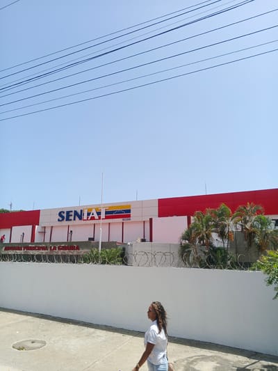 A medium shot captures a woman walking in front of a building with "SENIAT" emblazoned on its facade, accompanied by the Venezuelan flag. The building's exterior is a mix of white and red panels, with the "SENIAT" logo in large blue letters. Below the main building, text reads "ADUANA PRINCIPAL LA GUAIRA". The area is bordered by a white wall topped with barbed wire, and lush palm trees can be seen in the background. Power lines stretch across the clear, bright blue sky, suggesting a sunny day. The woman, with her hair flowing, is casually dressed in a white t-shirt and light-colored shorts, walking with her back to the camera. The scene appears to be set in Maiquetía, Venezuela, under fair weather conditions.