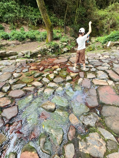 A young child, viewed from behind, stands in a shallow, rocky stream in what appears to be a park or natural area, possibly in Xihu District, China. The child wears a white t-shirt, brown shorts, a white baseball cap, and white sneakers. They hold a blue object, possibly a toy or tool, raised in their right hand, suggesting an activity like playing or collecting. The stream bed is paved with numerous large, flat stones, some of which are submerged in clear, shallow water. The water flows over and around these stones, creating a glistening effect. The surrounding environment is lush and green, with dense foliage, trees, and vegetation covering the banks of the stream. The overall scene conveys a sense of outdoor recreation and engagement with nature.
