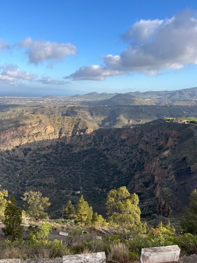 The image shows a panoramic view of a valley in Las Palmas de Gran Canaria, Spain, from a high vantage point. The coordinates place the location in the region of the Barranco de Guayadeque, a natural canyon with a dramatic landscape. The scene features rolling hills, a deep valley, and a few small buildings in the distance. The valley floor is covered in dense vegetation, while the slopes are a mix of brown, rocky terrain and green foliage. There are several trees in the foreground, some with lush green canopies. The sky is a bright blue with a few white clouds, and the sun is shining brightly. The image suggests a clear, sunny day. The image was captured from a viewpoint along the edge of the valley, looking out over the landscape.