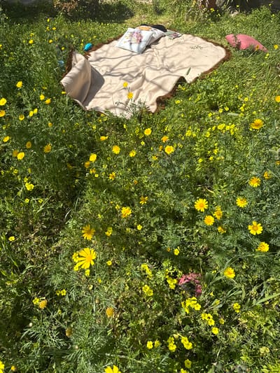 The scene depicts an unoccupied picnic setting within a grassy area characterized by abundant yellow wildflowers. The location is Aegina, Greece. In the upper central portion of the image, a light beige blanket with a dark brown, possibly fringed, edge is spread on the ground. Two pillows rest on and beside the blanket: one white with a floral pattern featuring pink, orange, and purple hues is on the blanket, and a plain pink pillow lies to the right of the blanket on the grass. A blue plastic bottle is visible near the upper left edge of the blanket. Small, indistinct objects, possibly a book or electronic device, are present on the blanket near the white pillow. The ground is covered with vivid green grass and numerous small yellow flowers, resembling daisies or oxalis, which are scattered densely throughout the frame. Shadows from an unseen overhead object are cast across portions of the blanket and grass, indicating direct sunlight. No individuals, actions, or interactions are visible.