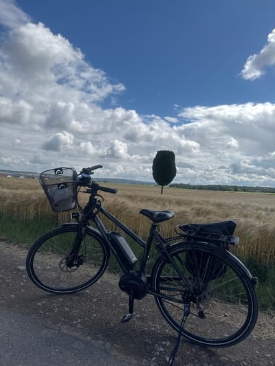 A black electric bicycle is parked on a gravel path beside a field of ripe grain under a cloudy blue sky. The bicycle is facing the viewer at an angle, with its front wheel on the left and its rear wheel on the right. It has a black basket on the handlebars, a black saddle, and a black battery pack attached to the frame. The field of grain extends into the distance, with a solitary, tall, dark green tree standing in the middle of the field. In the background, a town with red-tiled roofs is visible, along with a line of trees and hills. The sky is filled with large, fluffy white clouds. The scene is set in the vicinity of Bietigheim-Bissingen, Germany.