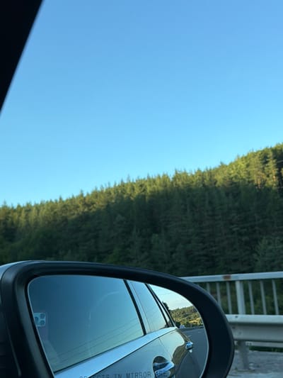 A close-up, slightly angled shot captures a side-view mirror of a vehicle, reflecting a clear blue sky and a dense forest. The forest, characterized by numerous evergreen trees, covers a sloping hillside. In the foreground of the mirror's reflection, the side of the vehicle itself is visible, as is a road with a white barrier. The scene appears to be set in the vicinity of Golemo Buchino, Bulgaria, suggesting a rural or highway setting. The lighting indicates it is daytime, likely with the sun at a relatively low angle. No people are visible in the frame, but the presence of the vehicle and the phone in the reflection suggest human activity.
