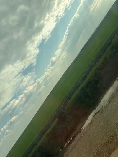 The image captures a rotated view of a rural landscape near Svoboda, Bulgaria, under a partly cloudy sky. The horizon line runs diagonally from the lower left to the upper right. The upper left portion of the frame displays a pale blue sky streaked with elongated white cumulus clouds. The lower right portion features a segment of a dirt or gravel road shoulder with several irregular puddles of water, which reflect parts of the sky and clouds. Adjacent to the road and extending towards the diagonal horizon is a broad expanse of uniformly green vegetation, consistent with a crop field. A narrower strip of darker green vegetation separates the main field from the road shoulder. No people, specific objects, or actions are discernible within the frame.