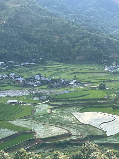 This high-angle, panoramic photograph captures a verdant valley in Tú Lệ, Vietnam, characterized by extensive terraced rice fields nestled between heavily forested mountains. The scene is dominated by shades of green, with the distant mountains exhibiting dense, dark green foliage under a pale, hazy sky.

In the midground, clusters of residential buildings with dark, sloped roofs are visible, interspersed among the rice paddies. One prominent village is situated alongside a wide, rocky riverbed with light-colored stones, which appears mostly dry or with minimal water flow. Narrow dirt paths or unpaved roads wind through the settlements and across the landscape.

The valley floor features numerous rice terraces arranged in irregular, curvilinear patterns. Many terraces are filled with bright green, young rice plants, while others are submerged under water, reflecting the bright sky and appearing as shimmering, light-toned pools. The terraces are delineated by earthen walls, creating distinct contours across the terrain. Towards the foreground and bottom of the image, the terraces become more pronounced, with large flooded sections prominently reflecting light. Sparse individual trees and small groves are scattered throughout the valley, complementing the agricultural landscape. No individuals are visible within the frame.